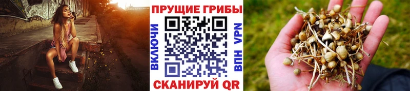 Галлюциногенные грибы мухоморы  Гагарин 